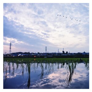 王秋儿蕾丝三角裤跳钢管舞
